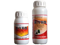 �ք�(d��ng)���w���b�C(j��)����